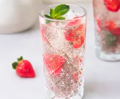 Thumbnail_500x400_TeAntioxidanteFrozen